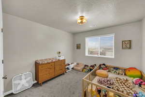 Carpeted bedroom with a textured ceiling, visible vents, and baseboards