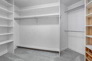 Spacious closet featuring carpet floors