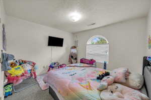 Carpeted bedroom with a textured ceiling and visible vents