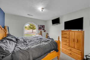 Bedroom with carpet flooring, a textured ceiling, and visible vents