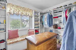 Spacious closet with carpet flooring