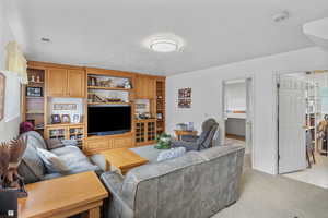 Living room featuring light colored carpet and a textured ceiling