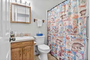 Bathroom featuring vanity, toilet, and a shower with curtain