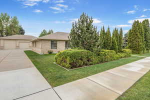 View of front of house featuring a shingled roof, a front lawn, and brick siding