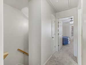 Hallway featuring attic access, an upstairs landing, and carpet floors