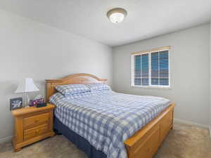 Bedroom featuring carpet and baseboards