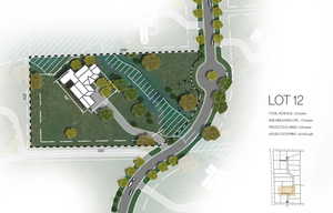 Lot line/concept