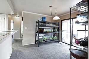 Interior space featuring crown molding, carpet flooring, and baseboards