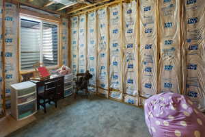 Unfinished basement