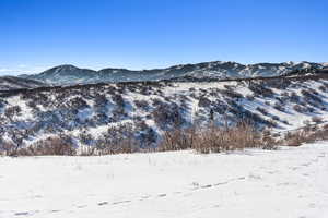 Property view of mountains