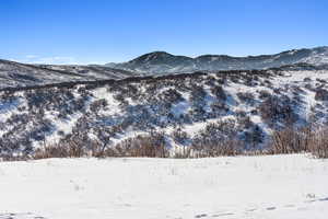 Property view of mountains