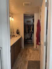 Bathroom with visible vents, vanity, and a spacious closet
