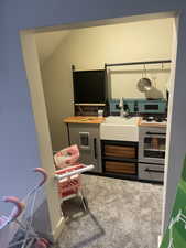 Rec room with carpet