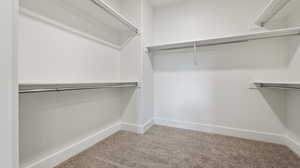 Spacious closet featuring carpet