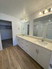 Master Bath Double Sink Vanity