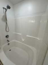 Master Bath Shower