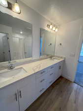 Master Bath Double Sink Vanity