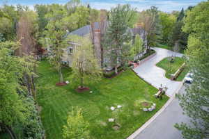 Drone / aerial view featuring a view of trees
