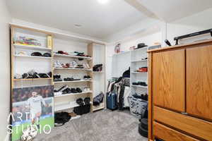 Walk in closet featuring carpet
