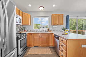 Kitchen featuring a peninsula, a sink, dark wood-type flooring, light countertops, and appliances with stainless steel finishes