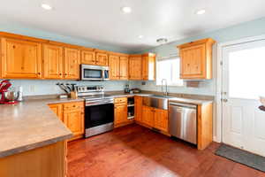 Kitchen with recessed lighting, appliances with stainless steel finishes, a sink, and dark wood-type flooring