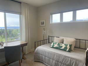 Bedroom with carpet flooring