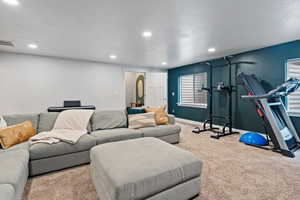 Basement Family Room
