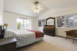Bedroom featuring carpet and lofted ceiling