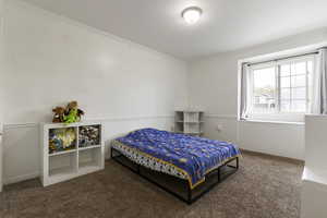 Bedroom with crown molding and carpet floors