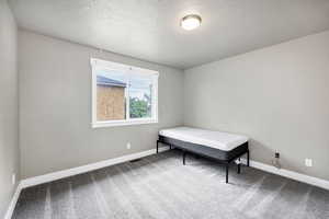 Bedroom featuring carpet, a textured ceiling, visible vents, and baseboards