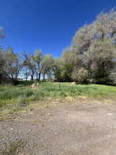 View of nature