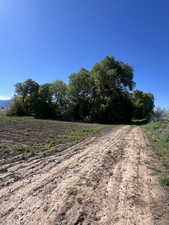 View of road