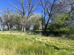 View of nature