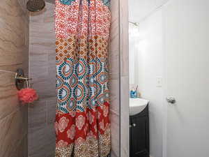 Basement Bathroom