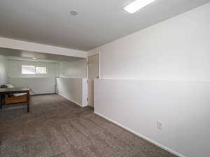 Basement family room with entrance