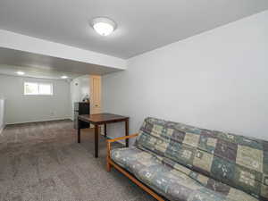 Basement Family room