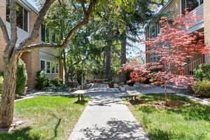 Surrounding community featuring a yard