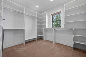Spacious closet featuring carpet floors