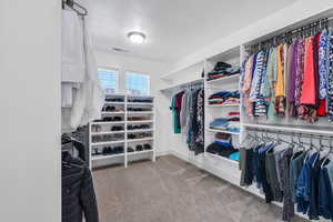 Spacious closet featuring visible vents and carpet floors