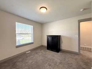 Carpeted empty room featuring baseboards, visible vents, and a textured ceiling