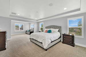 Bedroom featuring a raised ceiling, baseboards, carpet flooring, and recessed lighting