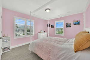 Bedroom with multiple windows, carpet, and baseboards