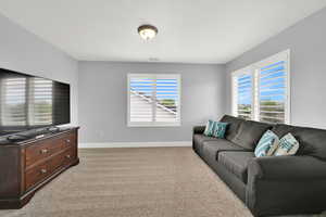 Carpeted living area featuring baseboards and plenty of natural light