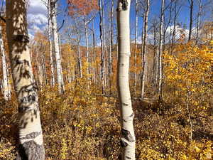 Fall