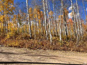 Fall