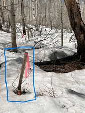 Markers showing property lines - Spring