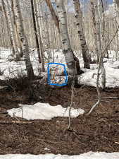 Markers showing property lines -Spring