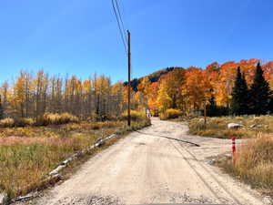 Fall