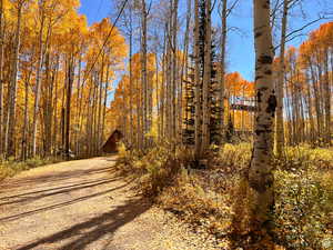 Fall