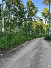 Smooth dirt road suitable for most vehicles -Summer